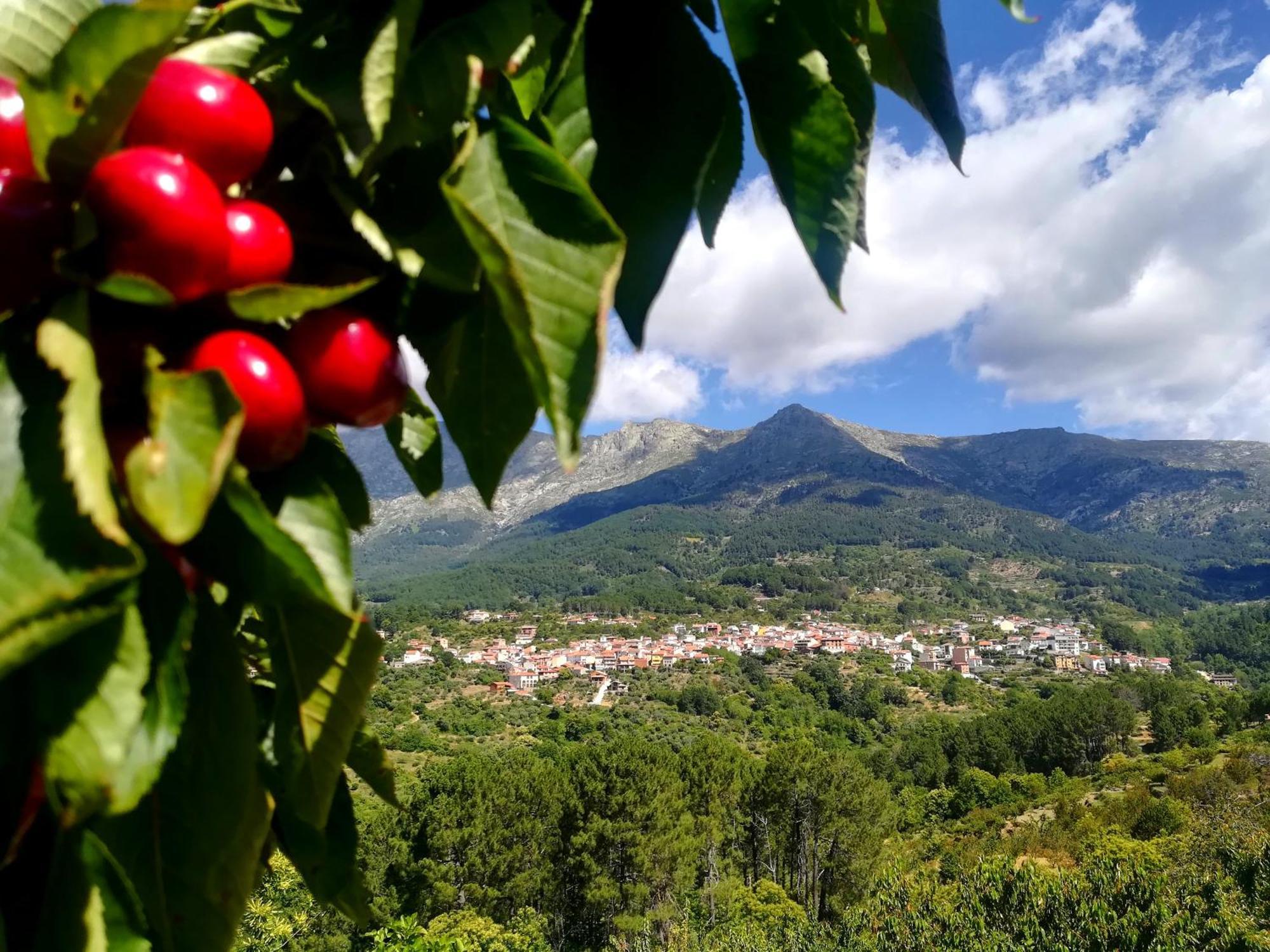 Albareilla By #Cherrygredos El Arenal  Exterior photo