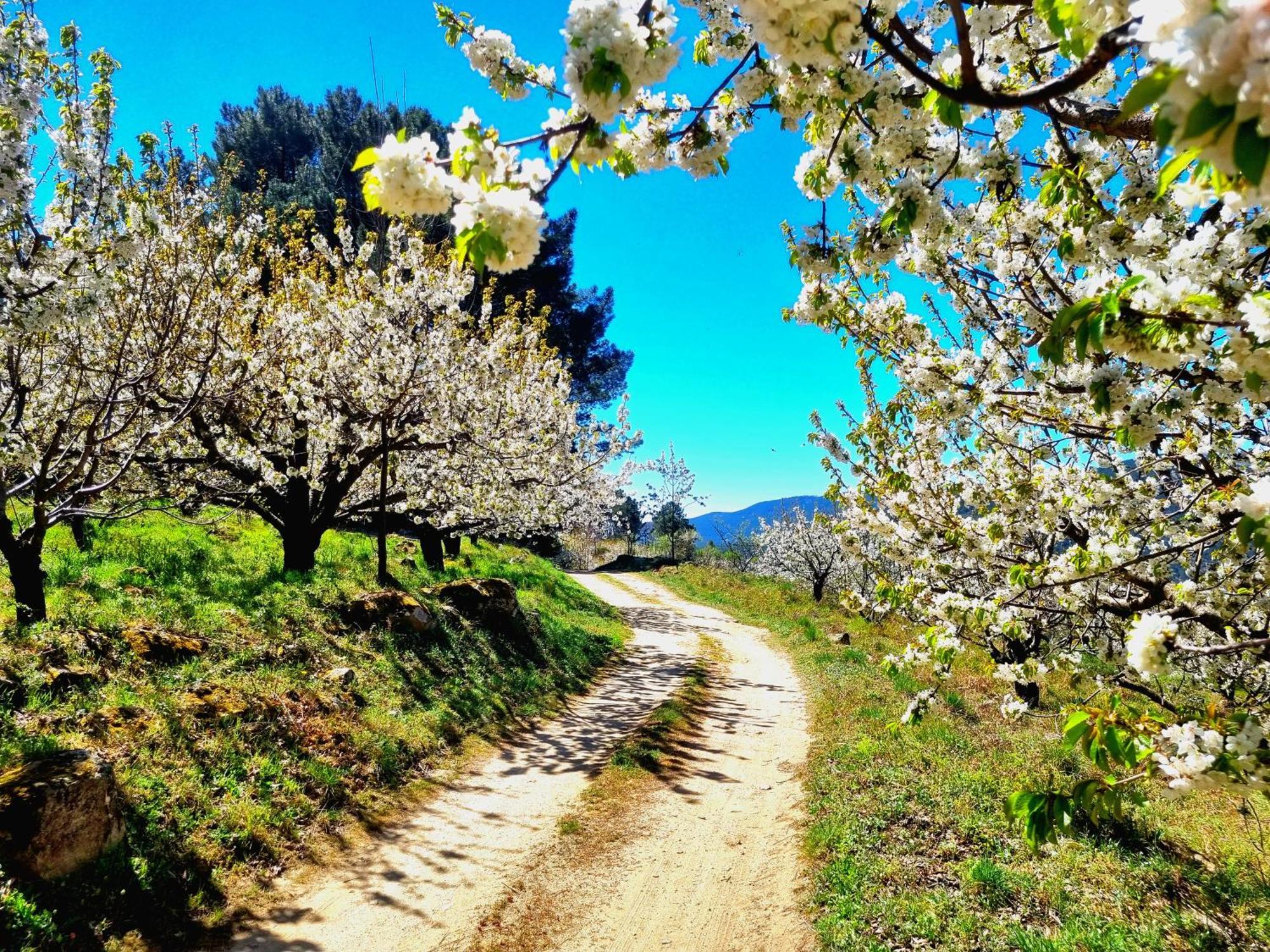 Albareilla By #Cherrygredos El Arenal  Exterior photo