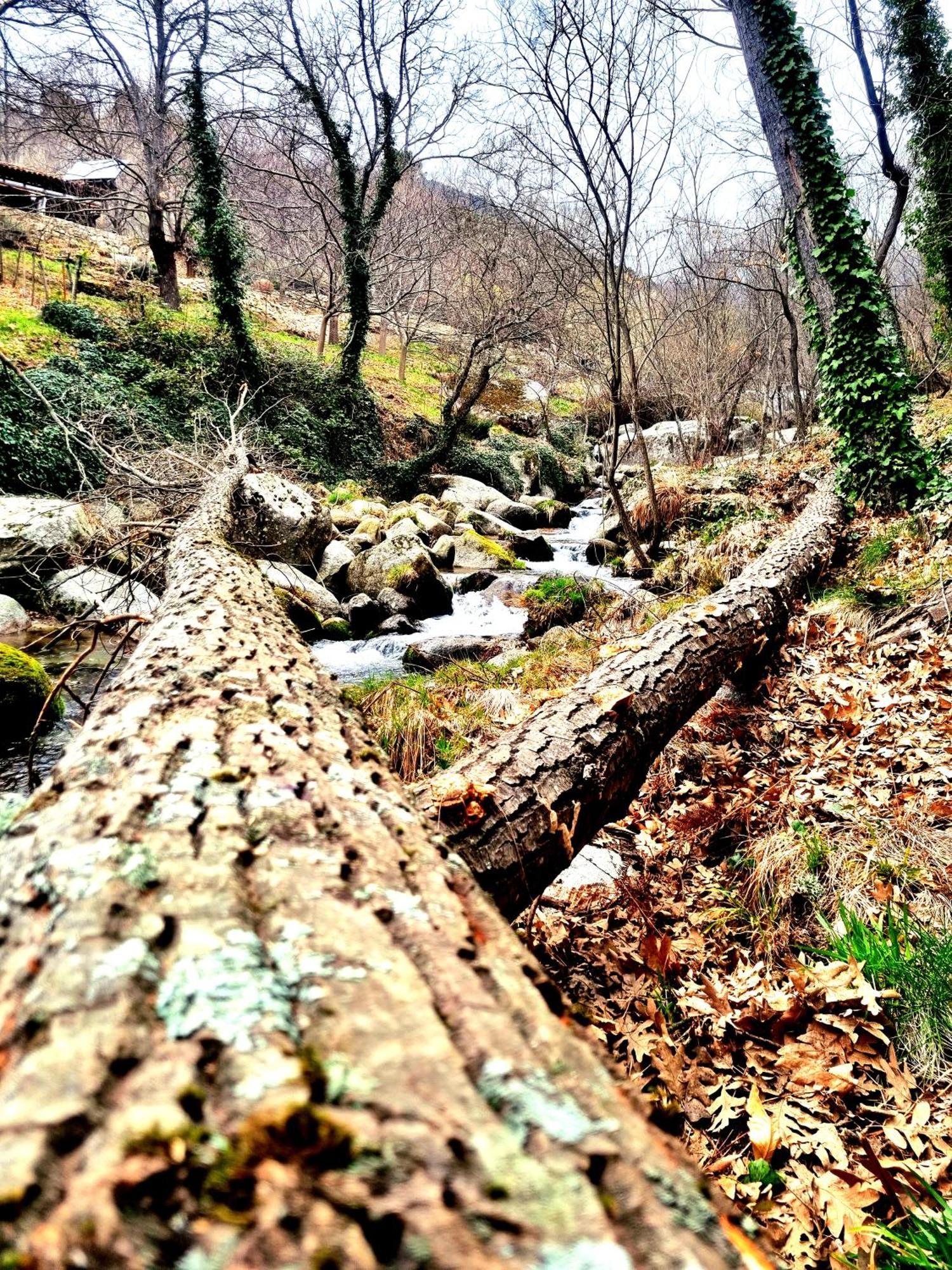 Albareilla By #Cherrygredos El Arenal  Exterior photo